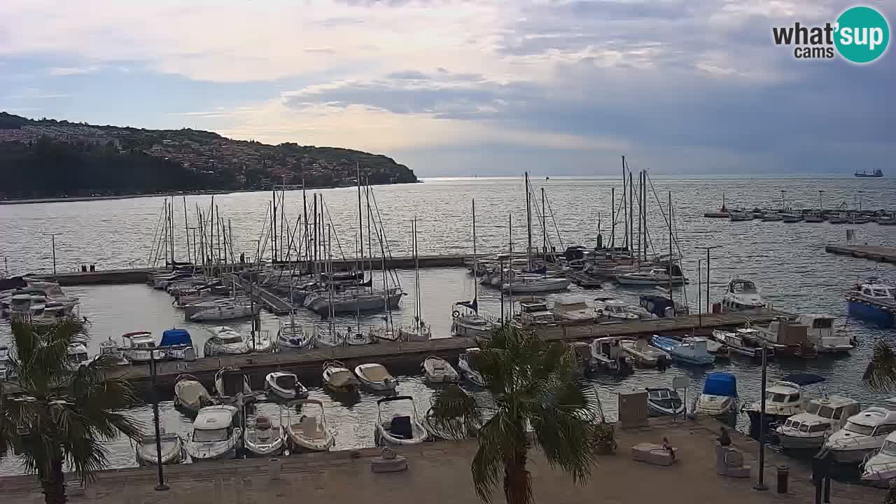 Webcam Capodistria – Piazza Ukmar
