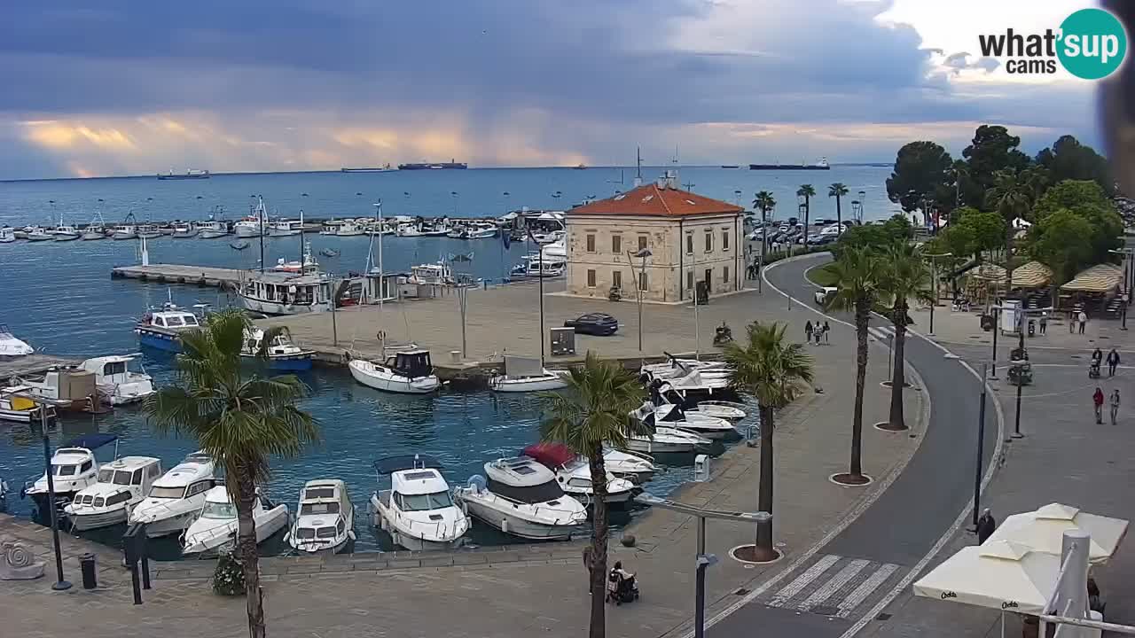 Livecam Koper – Ukmarjev trg
