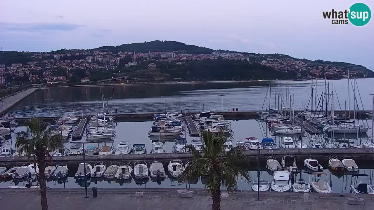Webcam Capodistria – Piazza Ukmar