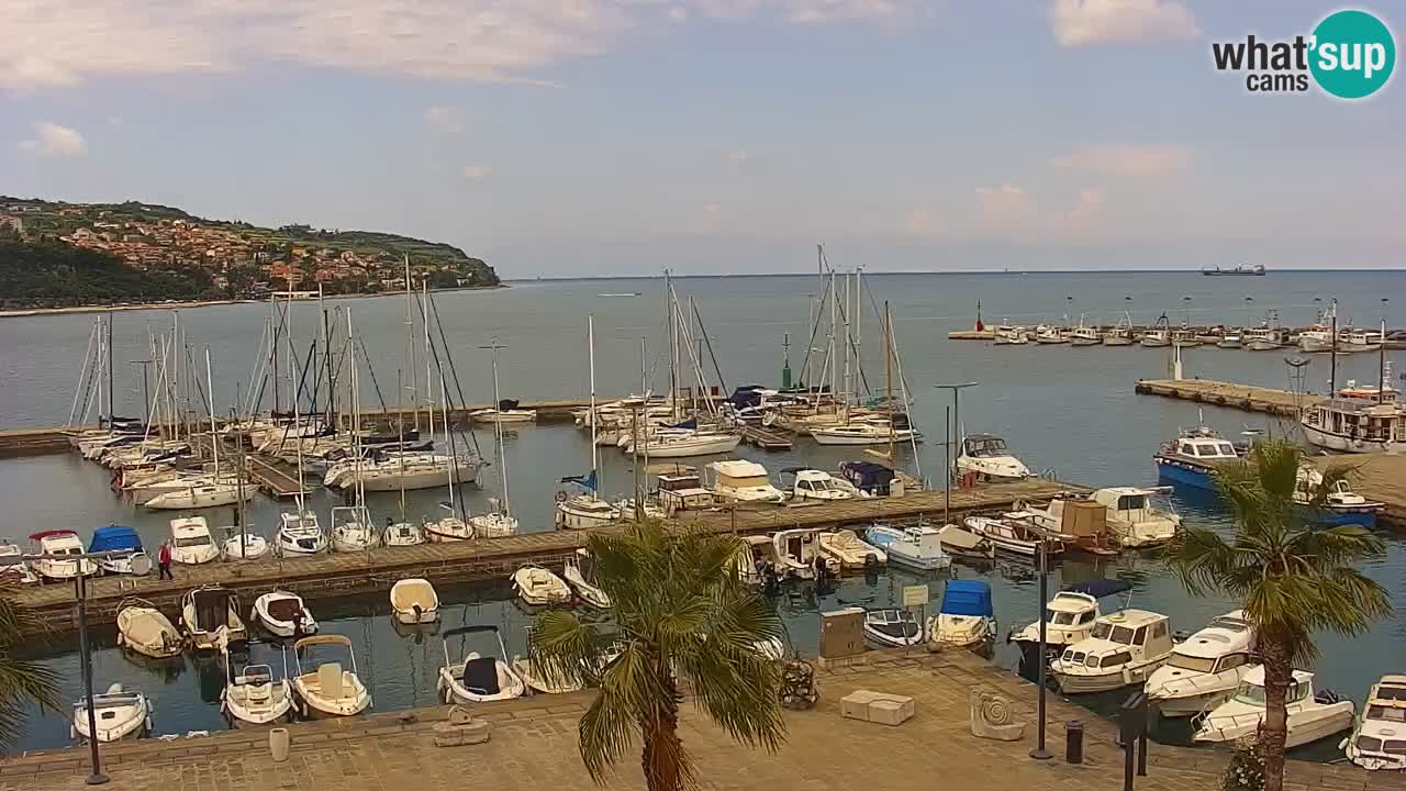 Webcam Koper – Panorama of the marina and promenade from the Grand Hotel Koper