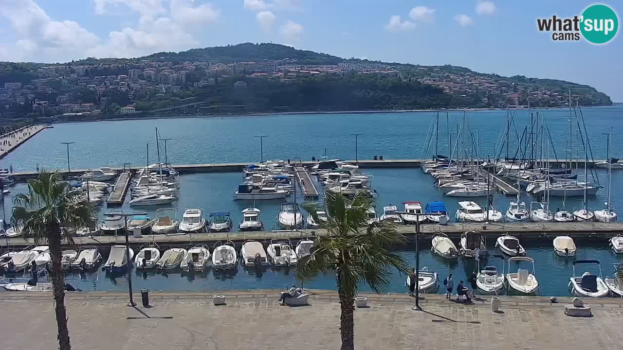 Web kamera Koper – marina i promenada – hotel Grand Koper