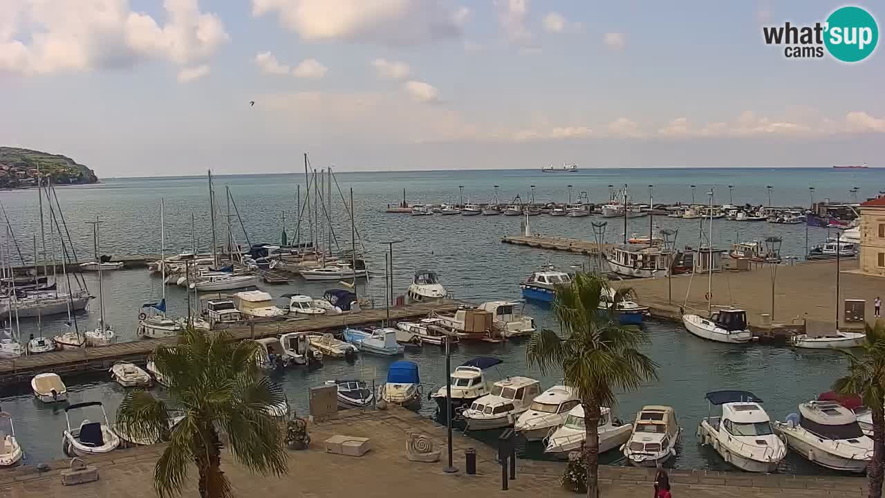 Der Hafen von Koper Live-Webcam – Kreuzfahrt- und Frachthafen – Slowenien
