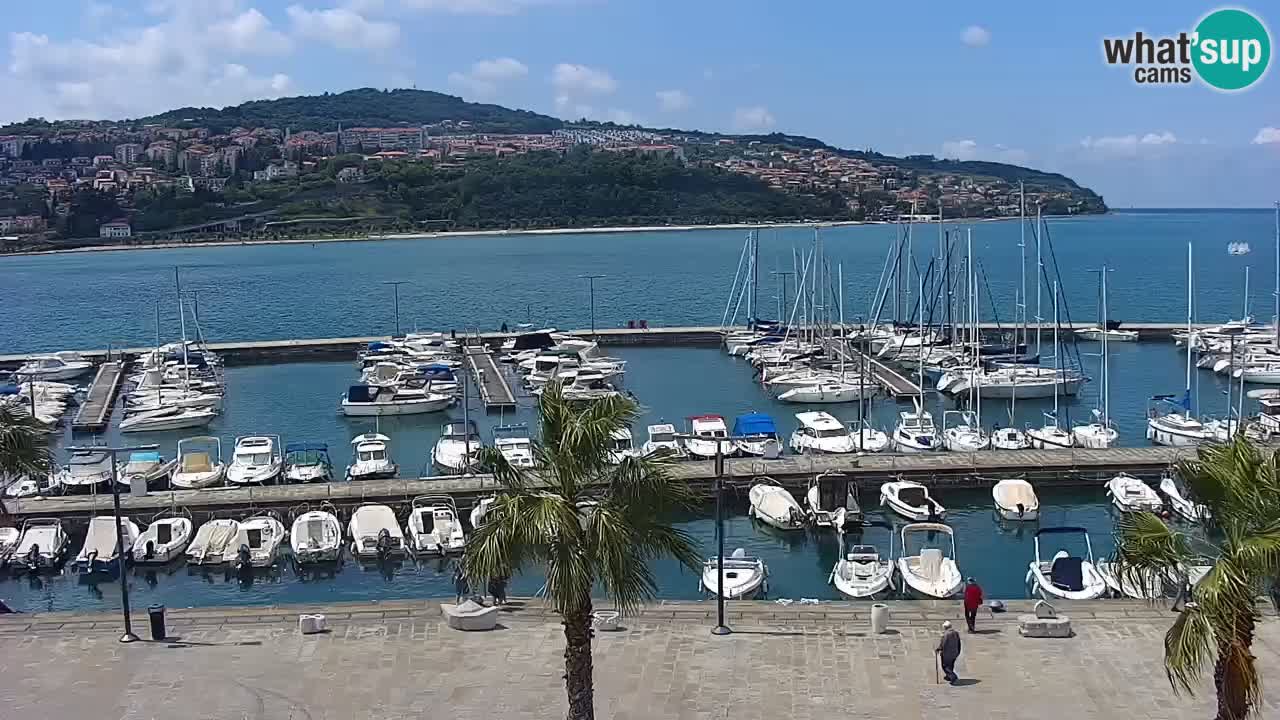 Camera en vivo Koper – puerto deportivo y paseo marítimo desde el Hotel Grand Koper