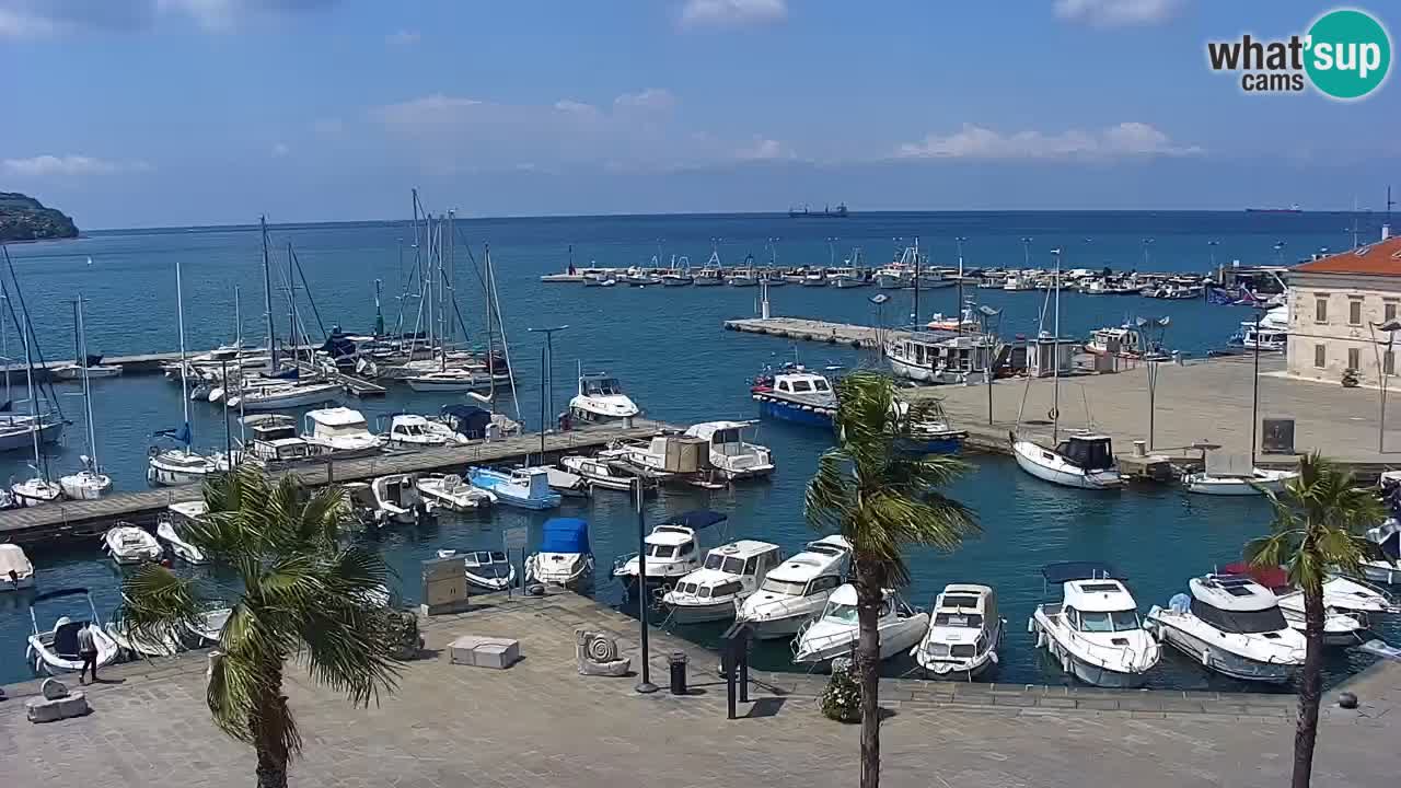 Camera en Vivo Koper – Ukmarjev trg