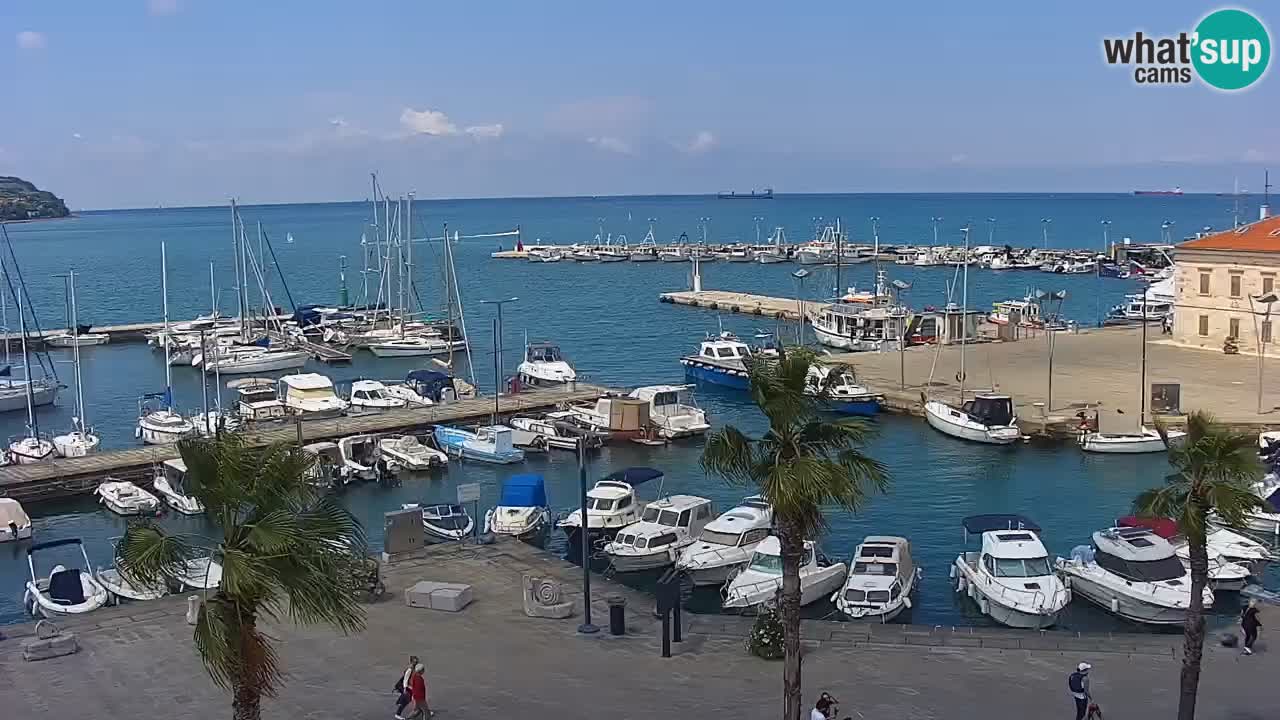Webcam en direct du port de Koper – port de croisière et de fret – Slovénie