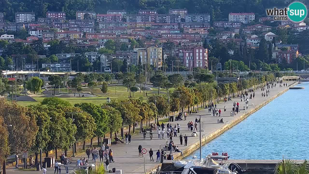 Spletna kamera Luka Koper v živo – Potniški terminal in tovorno pristanišče – Slovenija