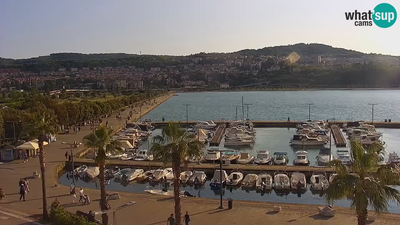 Der Hafen von Koper Live-Webcam – Kreuzfahrt- und Frachthafen – Slowenien