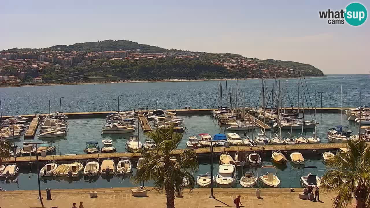 Il porto di Koper – Capodistria live webcam – porto crociere e mercantile – Slovenia