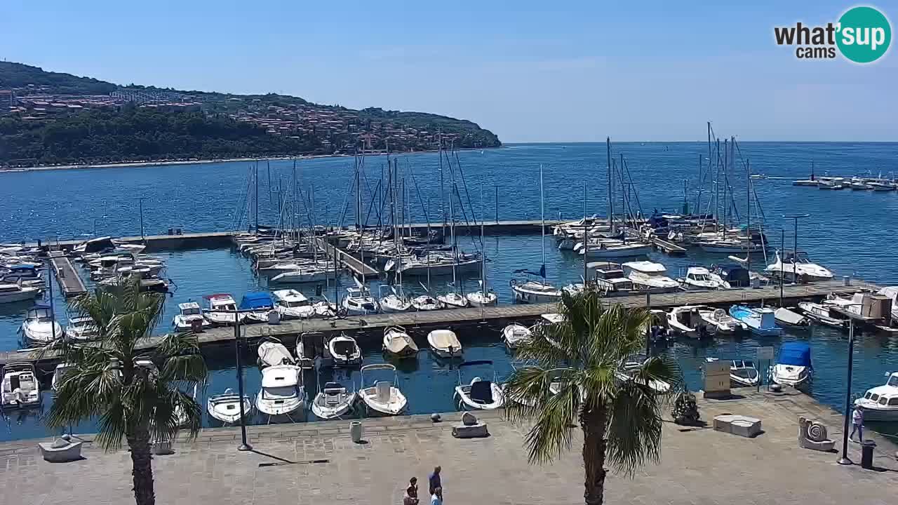 Il porto di Koper – Capodistria live webcam – porto crociere e mercantile – Slovenia