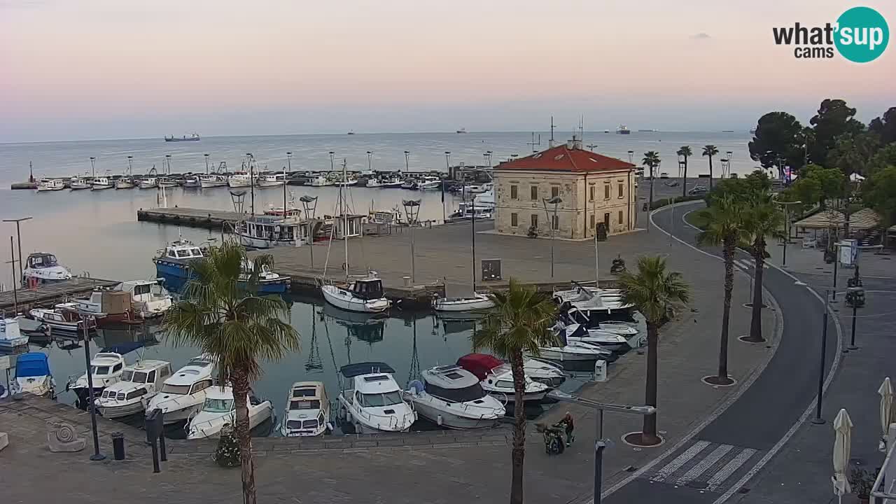 Live cam Koper – Ukmarjev trg