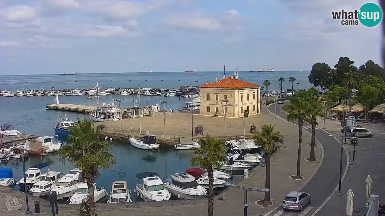 Camera en Vivo Koper – Ukmarjev trg