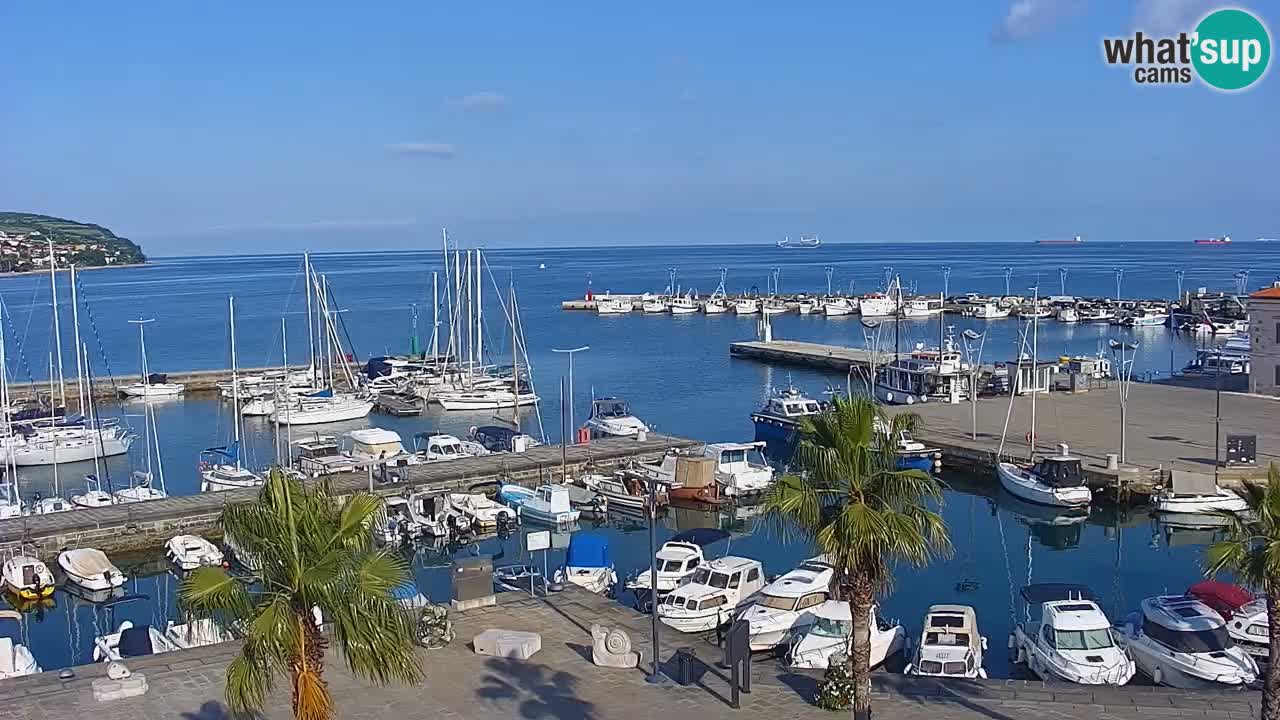 Luka Kopar uživo web kamera – Turistički terminal i teretna luka – Slovenija