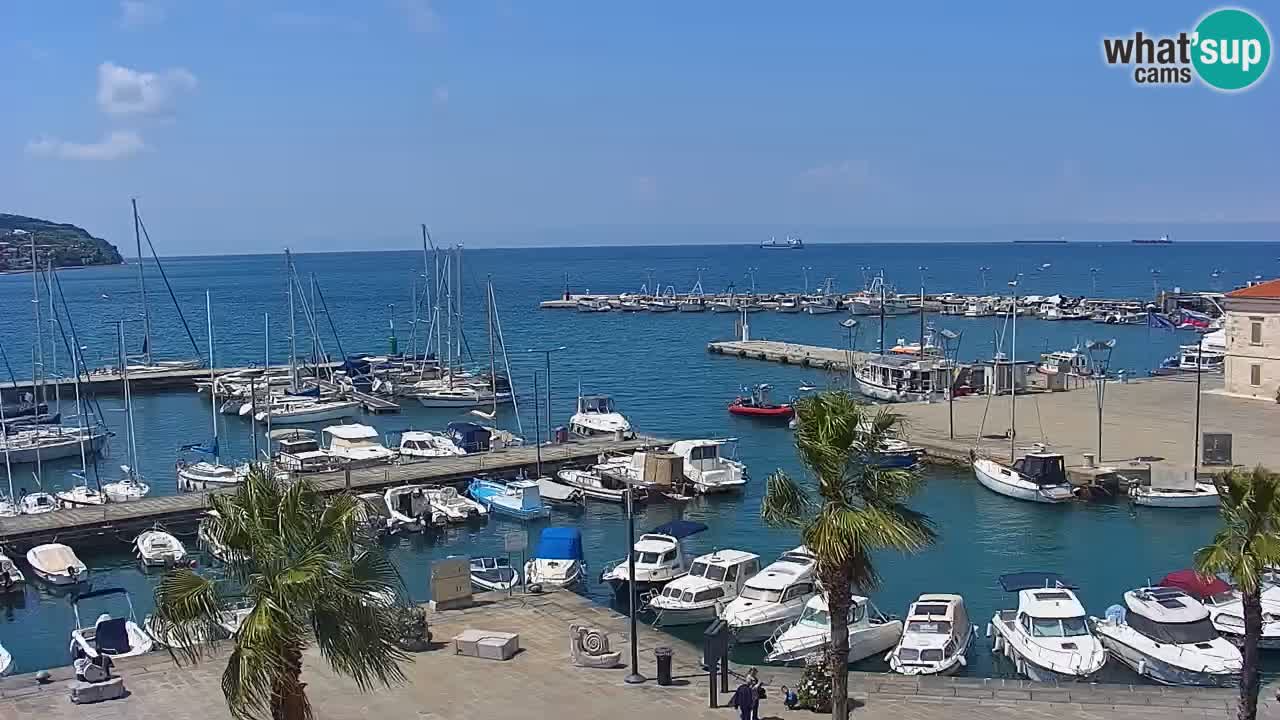 Webcam Capodistria – Piazza Ukmar