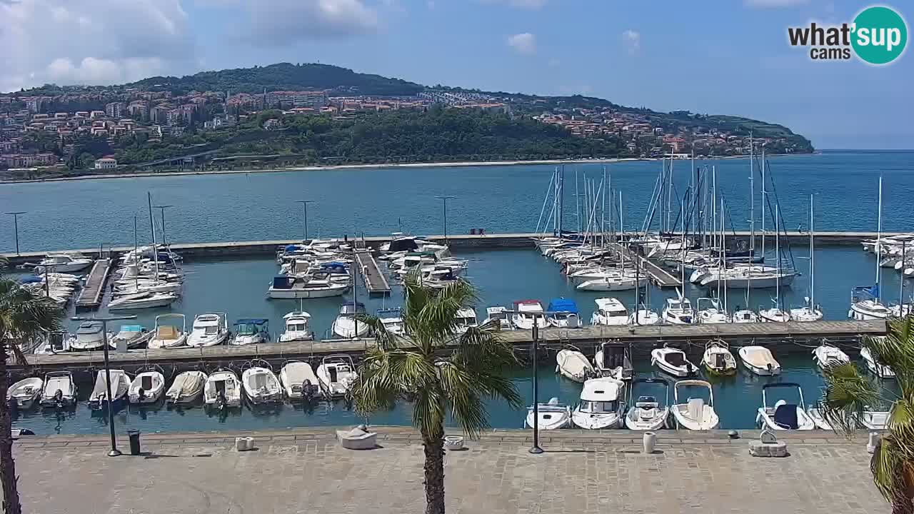 Livecam Koper – Ukmarjev trg
