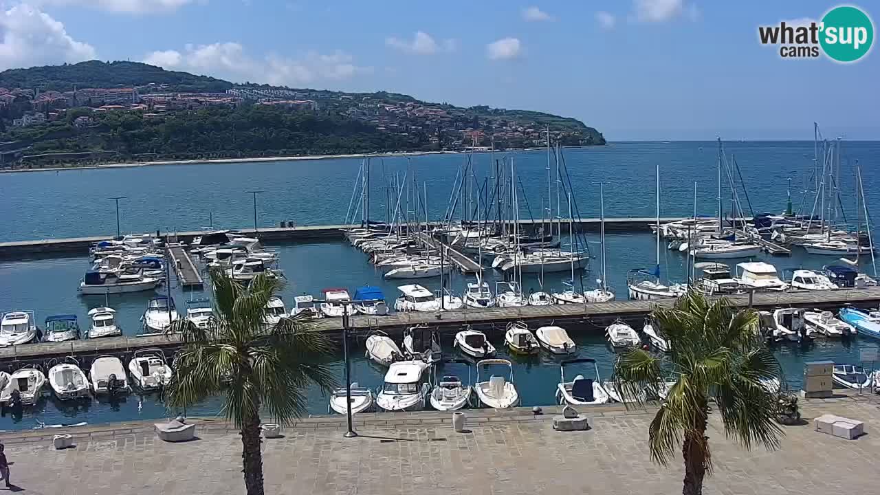 The Port of Koper live webcam – cruise and cargo port – Slovenia