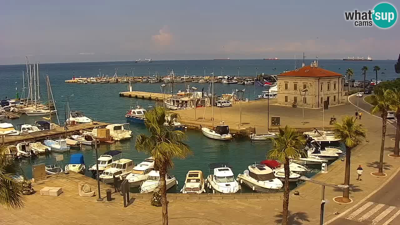 Der Hafen von Koper Live-Webcam – Kreuzfahrt- und Frachthafen – Slowenien