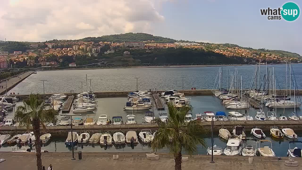 Luka Kopar uživo web kamera – Turistički terminal i teretna luka – Slovenija