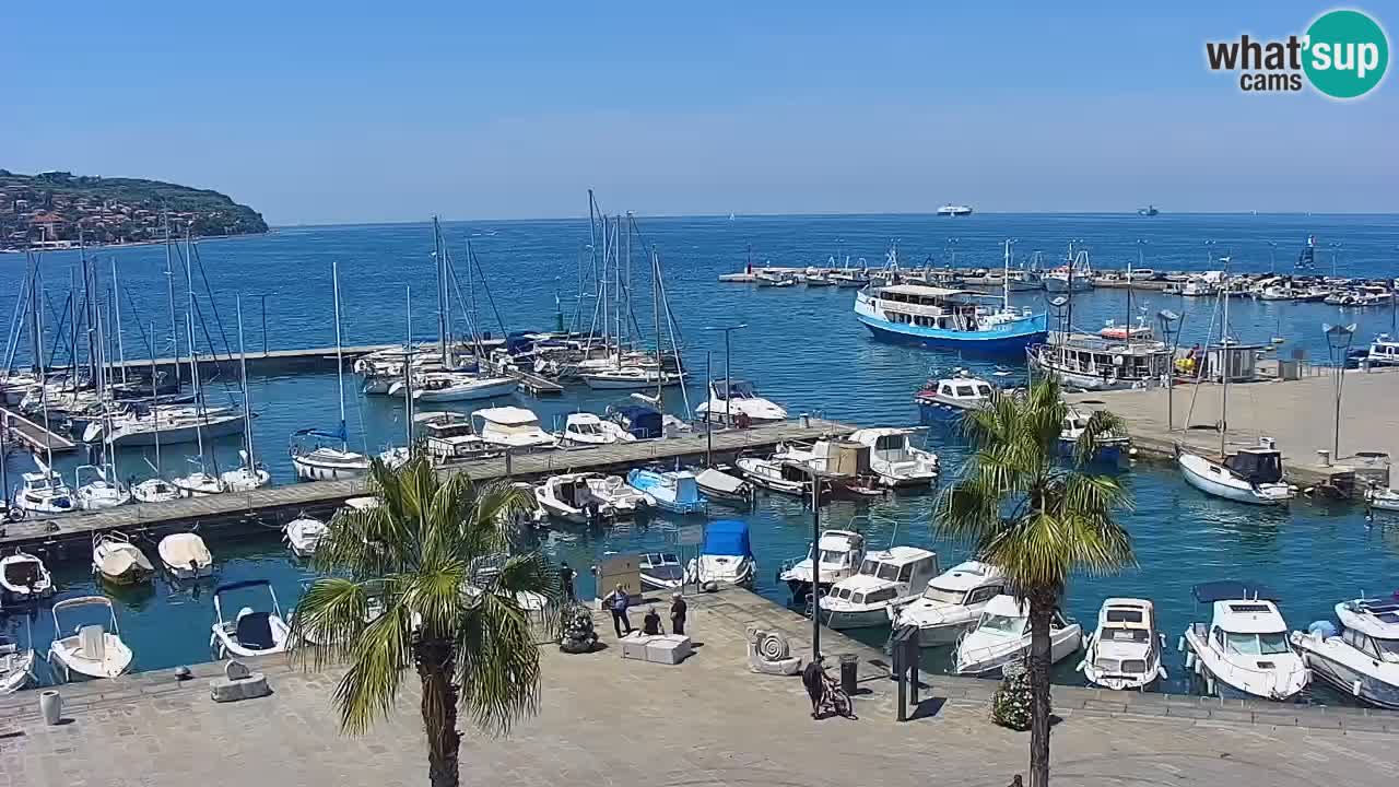 Webcam Koper – Panorama de la marina et de la promenade depuis le Grand Hotel Koper