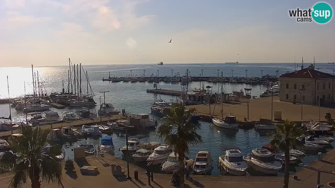 Web kamera Koper – marina i promenada – hotel Grand Koper