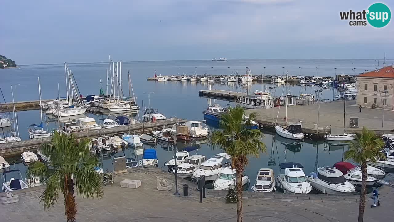 Webcam Koper – Panorama des Jachthafens und der Promenade vom Hotel Grand Koper