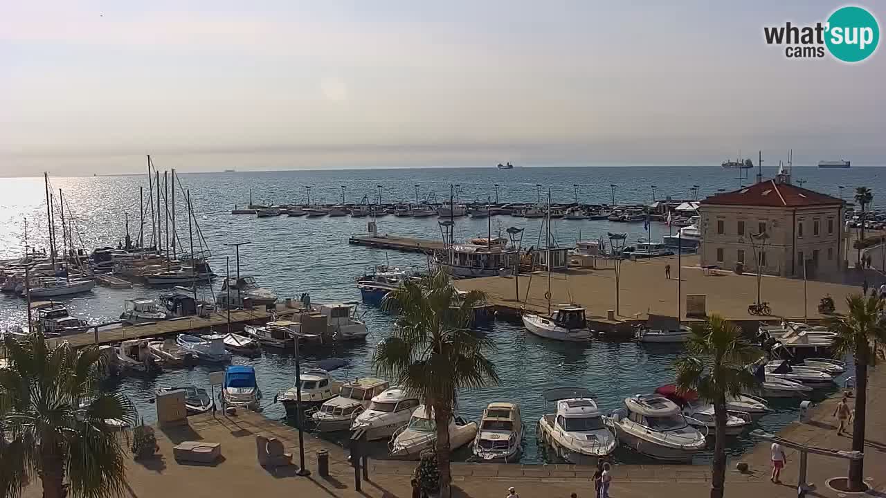 Spletna kamera Luka Koper v živo – Potniški terminal in tovorno pristanišče – Slovenija
