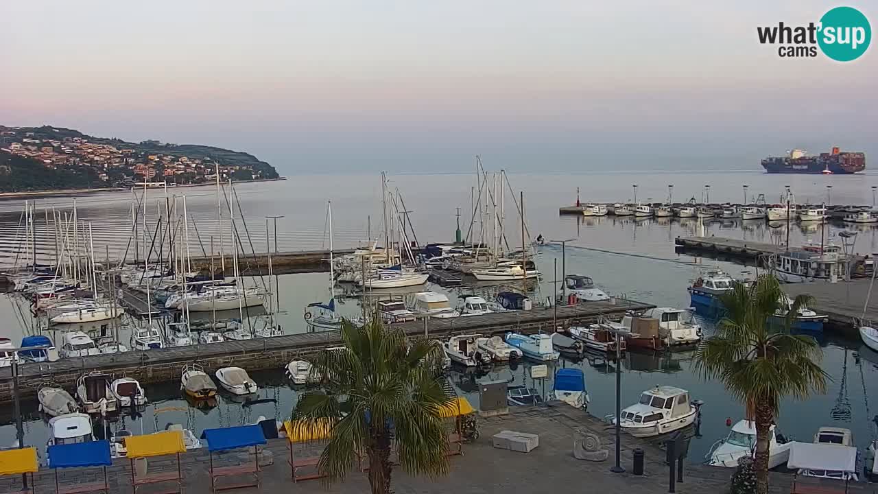 Der Hafen von Koper Live-Webcam – Kreuzfahrt- und Frachthafen – Slowenien