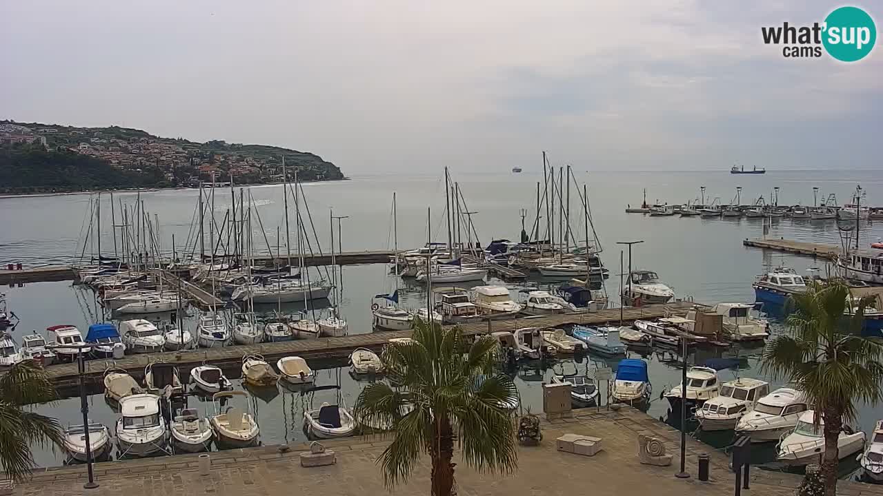 Webcam Koper – Panorama of the marina and promenade from the Grand Hotel Koper
