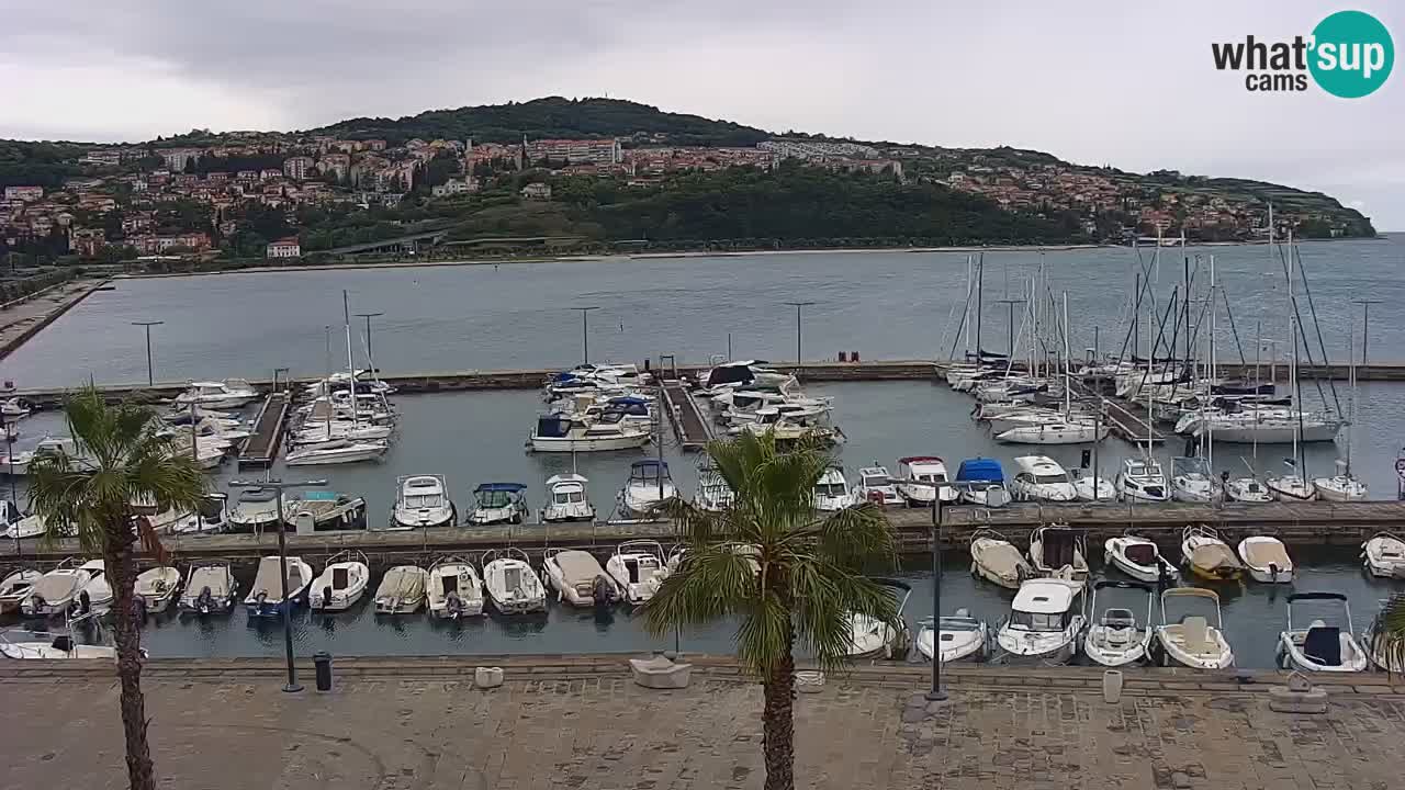 Spletna kamera Koper – Panorama na marino in promenado s Hotela Grand Koper