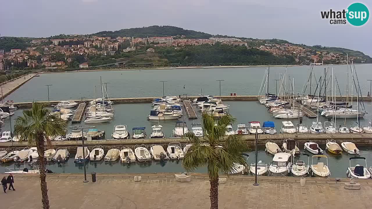 Spletna kamera Koper – Panorama na marino in promenado s Hotela Grand Koper