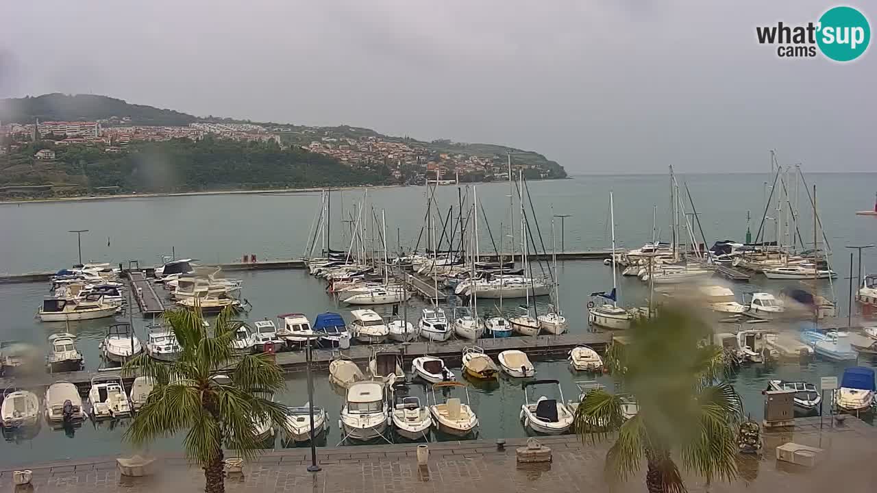 Webcam Koper – Panorama de la marina et de la promenade depuis le Grand Hotel Koper