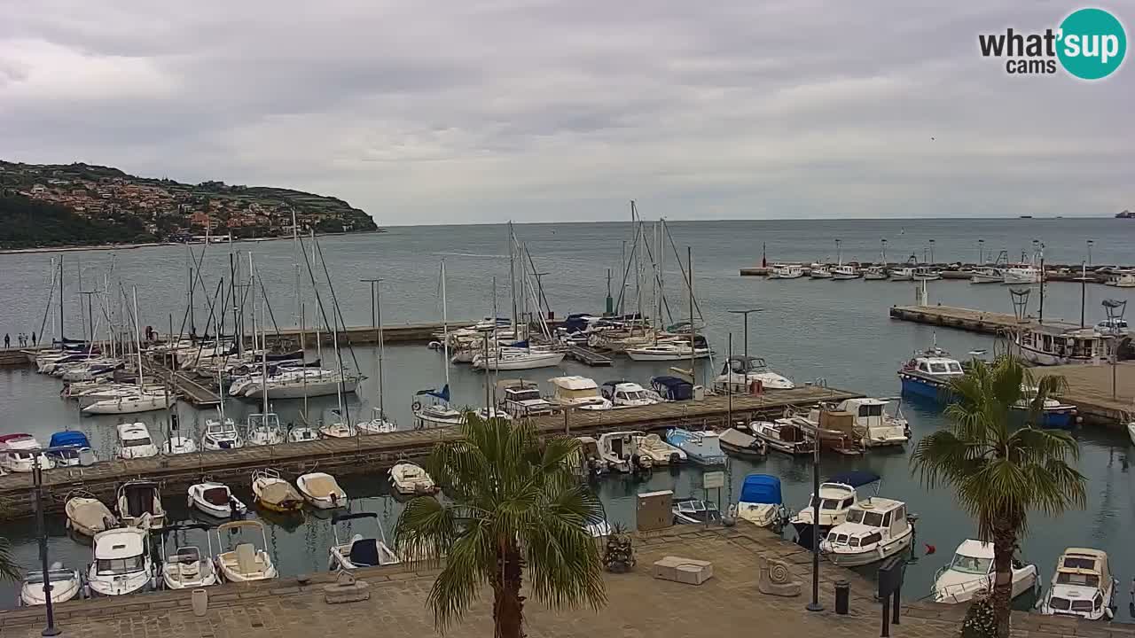 Der Hafen von Koper Live-Webcam – Kreuzfahrt- und Frachthafen – Slowenien