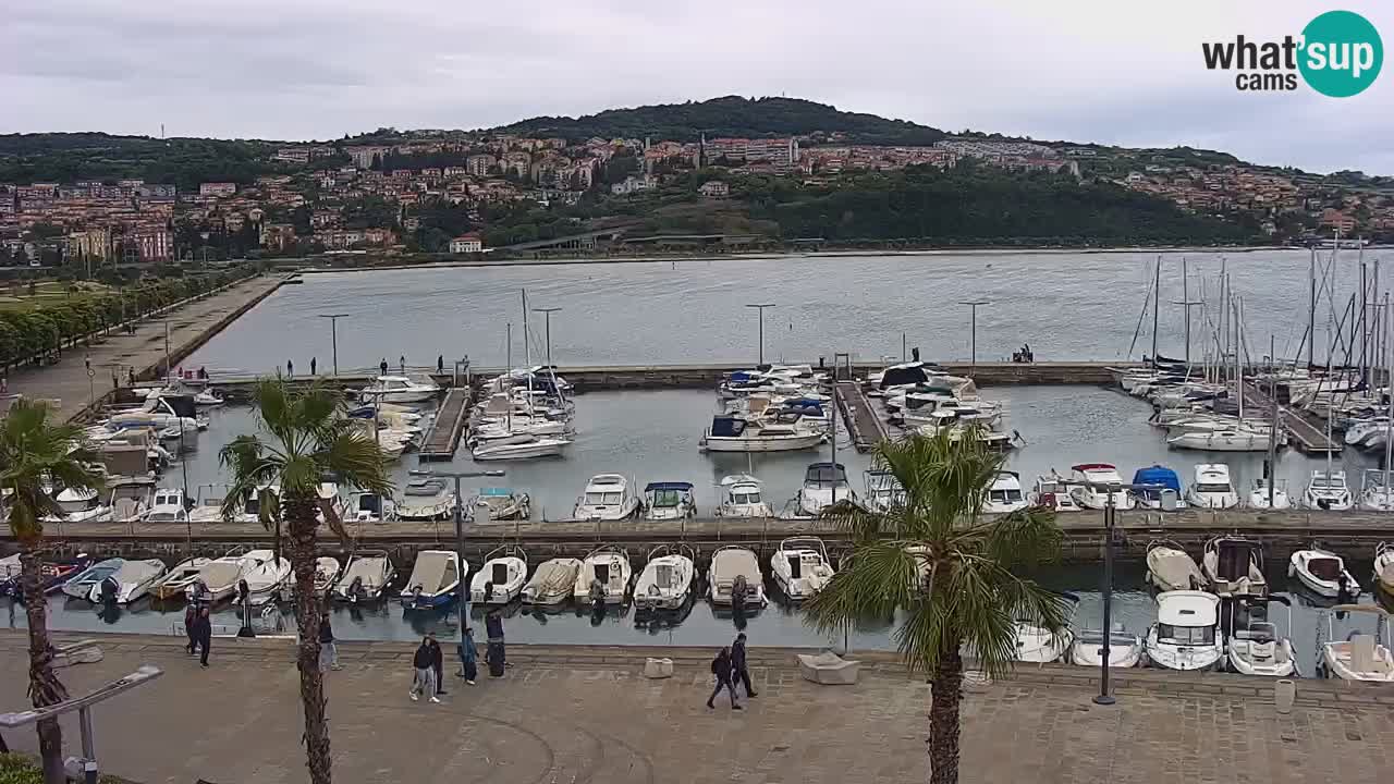 Spletna kamera Koper – Panorama na marino in promenado s Hotela Grand Koper