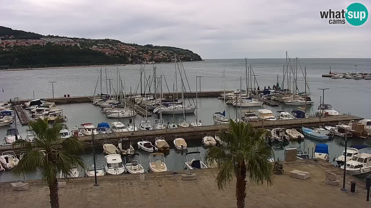 Webcam Koper – Panorama of the marina and promenade from the Grand Hotel Koper