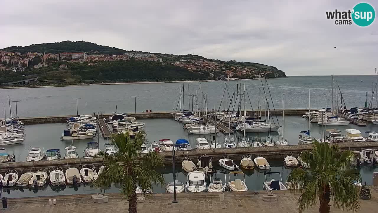 Il porto di Koper – Capodistria live webcam – porto crociere e mercantile – Slovenia