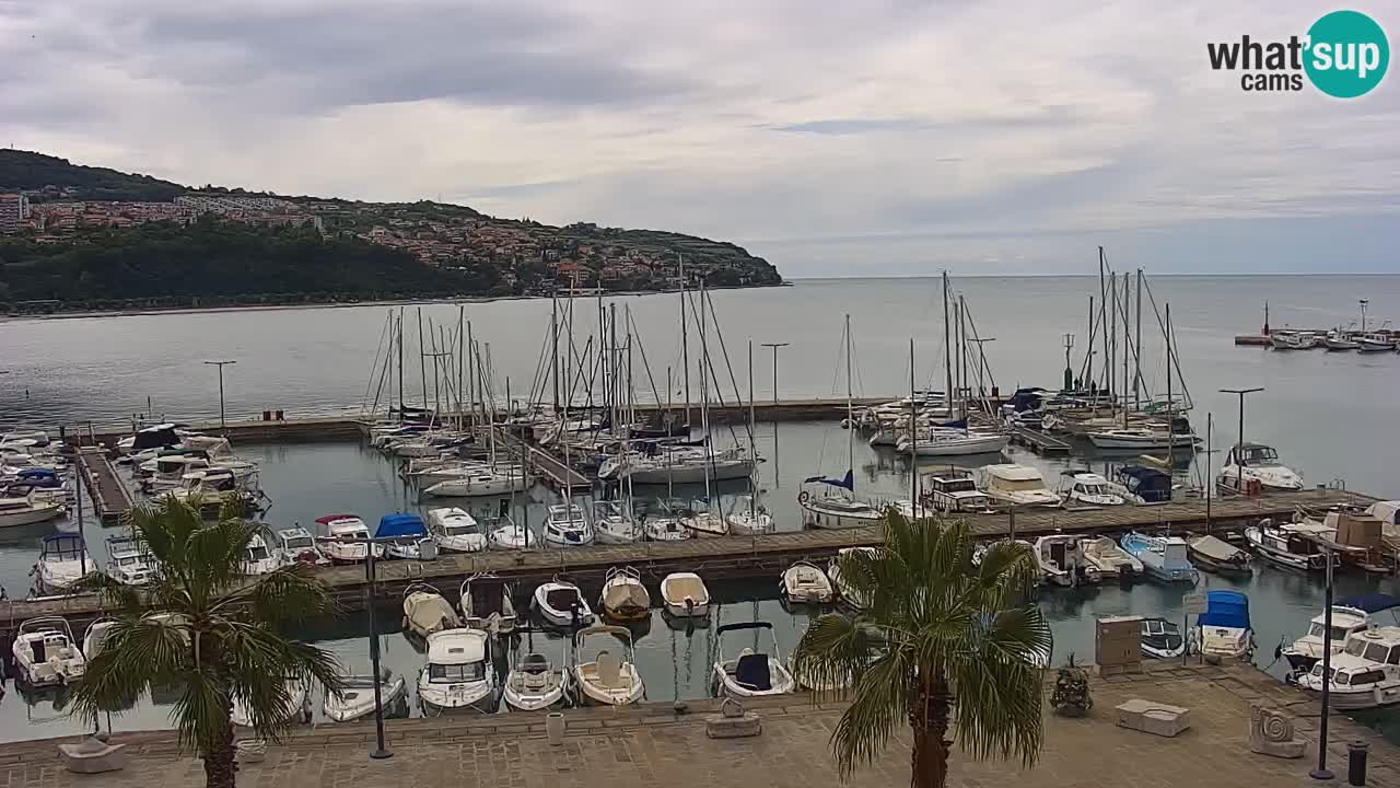 Camera en vivo Koper – puerto deportivo y paseo marítimo desde el Hotel Grand Koper