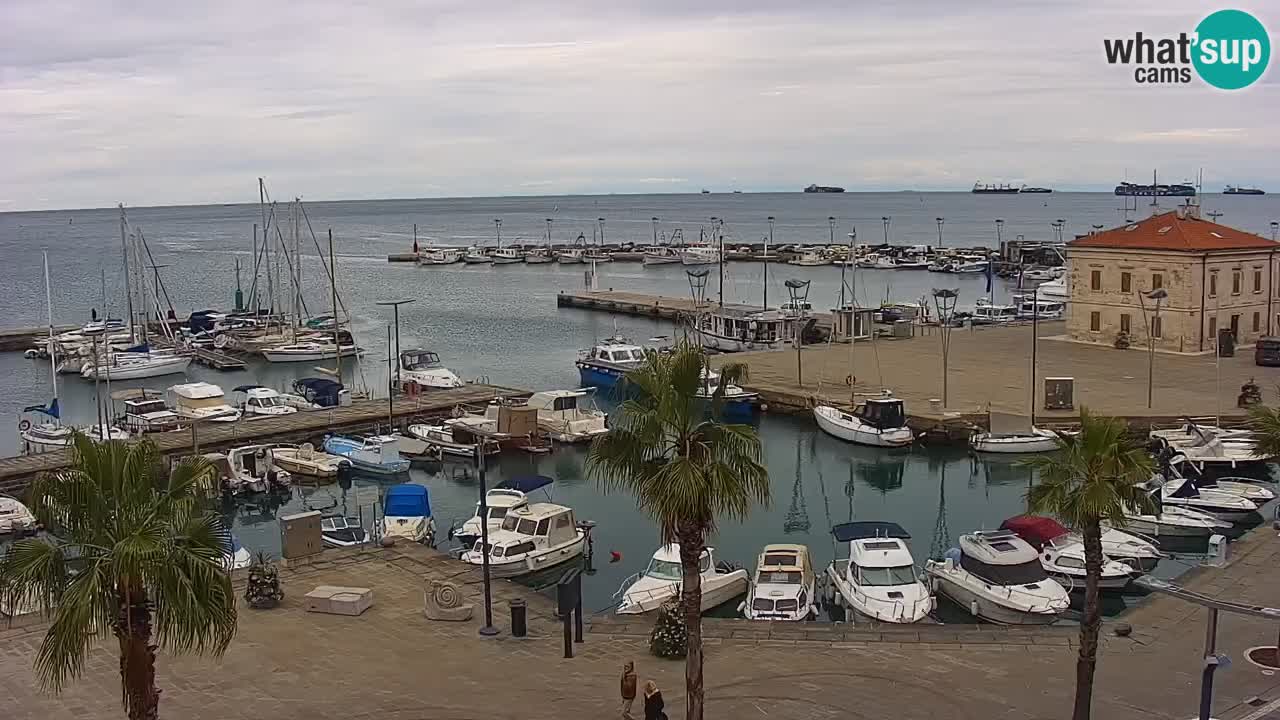 Spletna kamera Luka Koper v živo – Potniški terminal in tovorno pristanišče – Slovenija