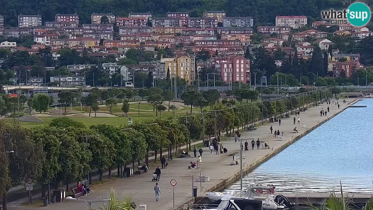 The Port of Koper live webcam – cruise and cargo port – Slovenia