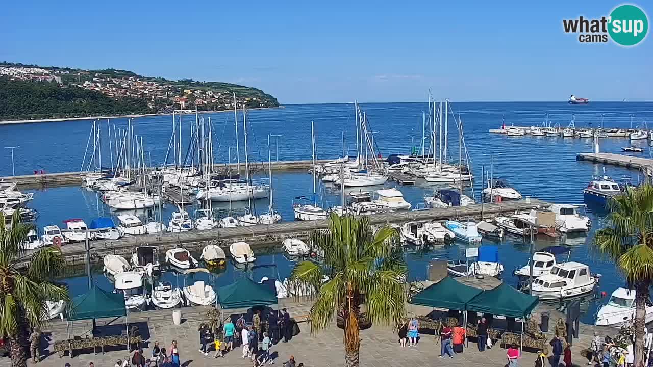 Spletna kamera Koper – Panorama na marino in promenado s Hotela Grand Koper