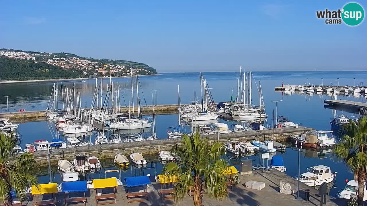 The Port of Koper live webcam – cruise and cargo port – Slovenia