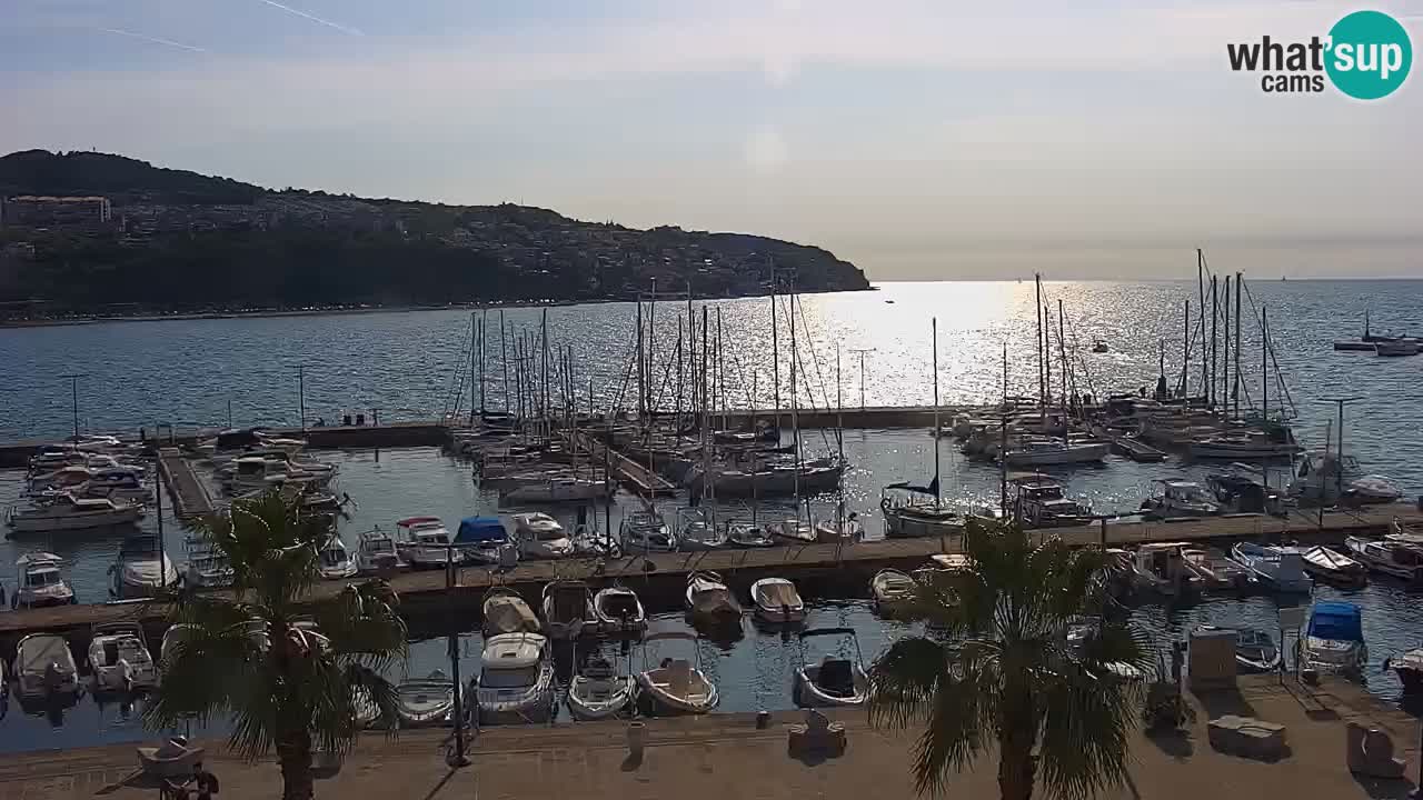 Luka Kopar uživo web kamera – Turistički terminal i teretna luka – Slovenija