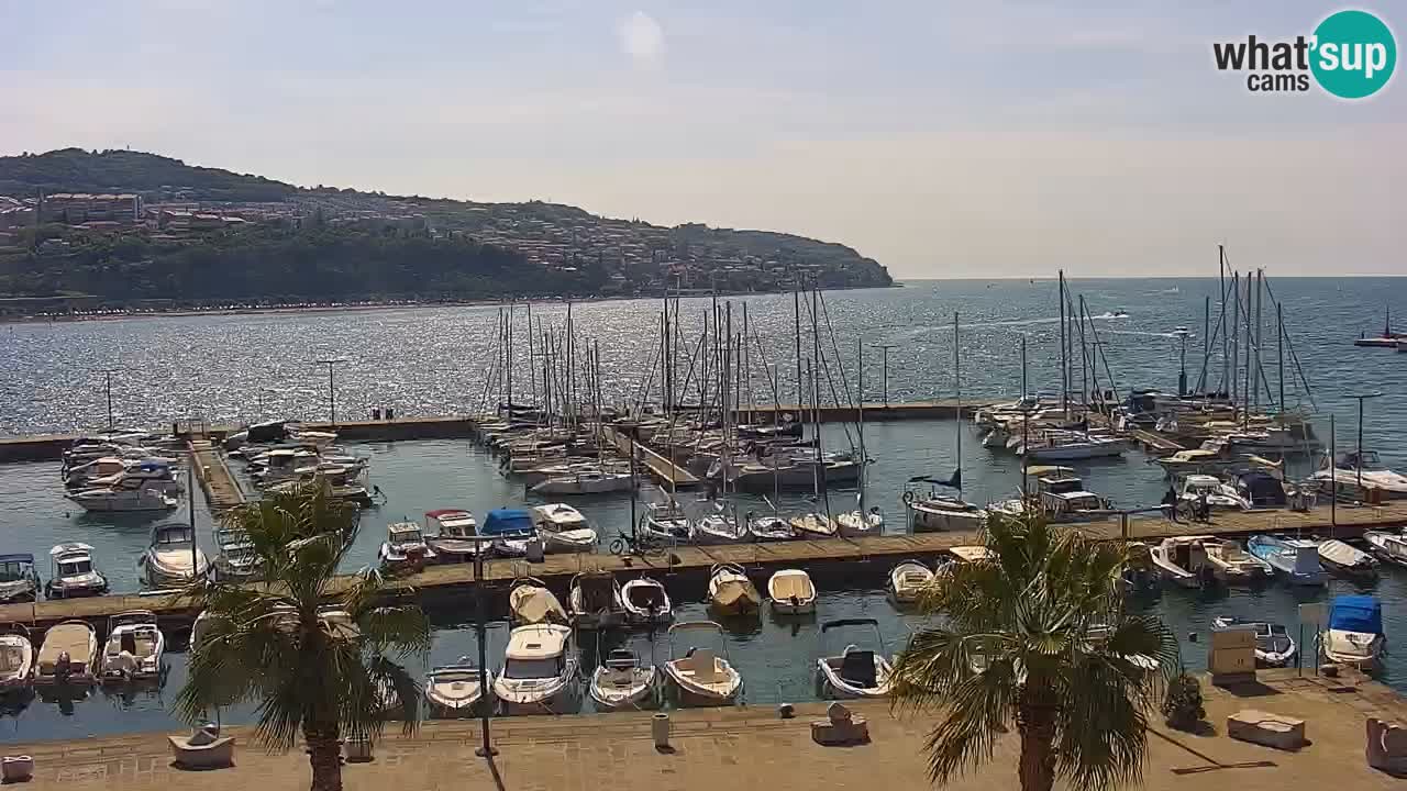 Webcam Koper – Ukmarjev trg
