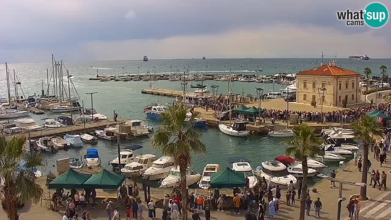Spletna kamera Koper – Panorama na marino in promenado s Hotela Grand Koper