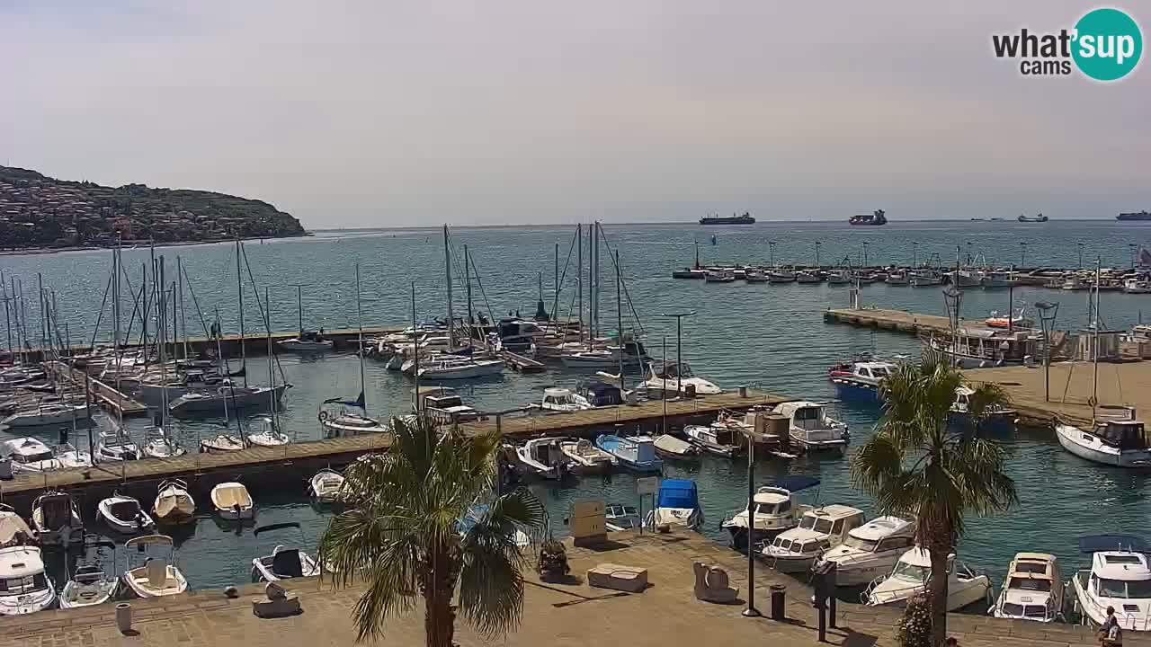 Webcam en vivo del Puerto de Koper – puerto de carga y cruceros – Eslovenia