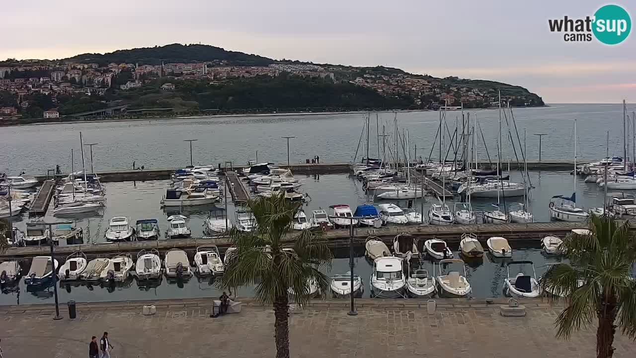 Camera en vivo Koper – puerto deportivo y paseo marítimo desde el Hotel Grand Koper