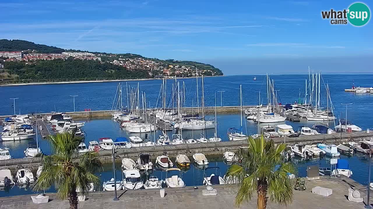 Der Hafen von Koper Live-Webcam – Kreuzfahrt- und Frachthafen – Slowenien