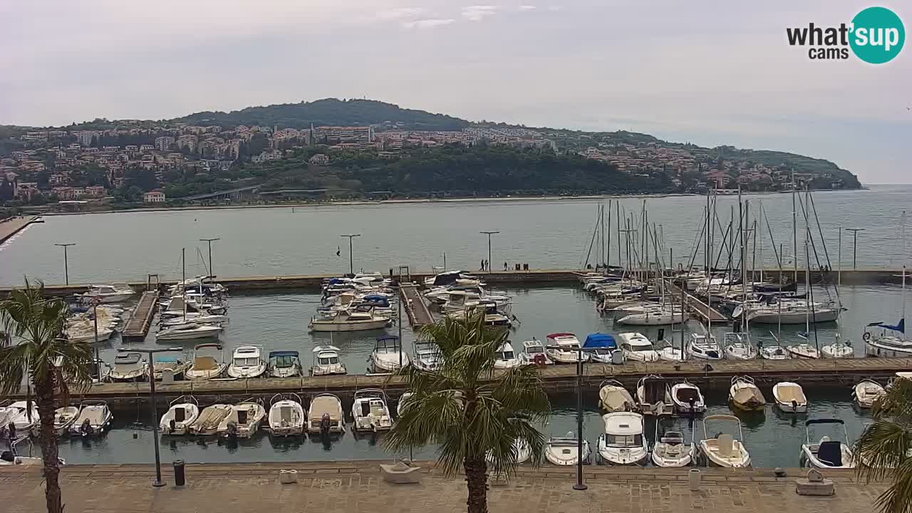 Webcam Koper – Panorama de la marina et de la promenade depuis le Grand Hotel Koper