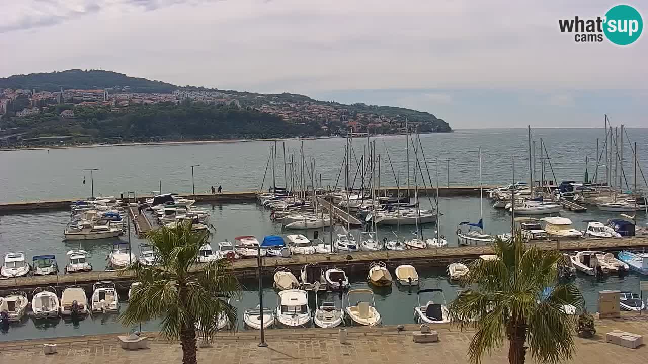 Webcam Koper – Panorama de la marina et de la promenade depuis le Grand Hotel Koper
