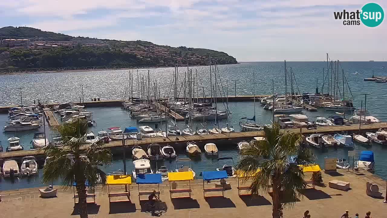 Webcam Koper – Panorama de la marina et de la promenade depuis le Grand Hotel Koper