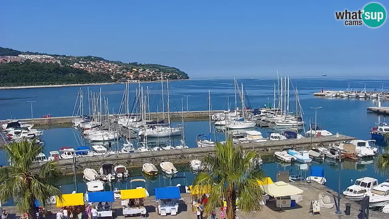 Webcam en direct du port de Koper – port de croisière et de fret – Slovénie