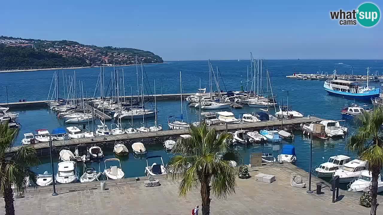 Webcam Koper – Panorama of the marina and promenade from the Grand Hotel Koper